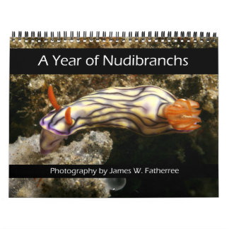 Nacktschnecken-Kender im Jahreskalender Kalender