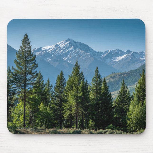 Nadelbäume mit Bergkulisse Mousepad (Vorne)