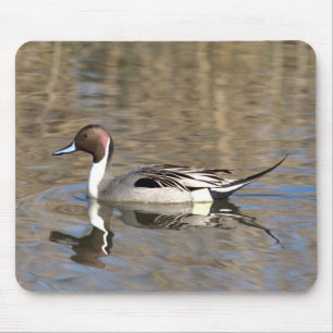 Nadelente schwimmt in einem Teich Mousepad