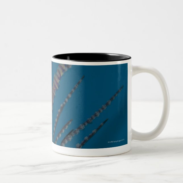 Nadelgarnele (Tozeuma armatum) Unterwasser Zweifarbige Tasse (Rechts)