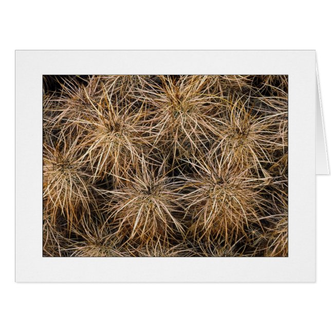 "Nadeln und Hay Stacks" (Vorderseite (Horizontal))