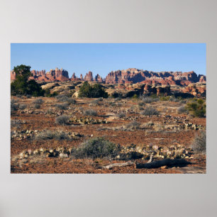 Nadeln vom Pothole Point Trail Poster