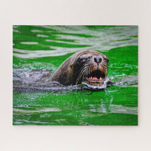 Nage Lion de mer de près, Puzzle