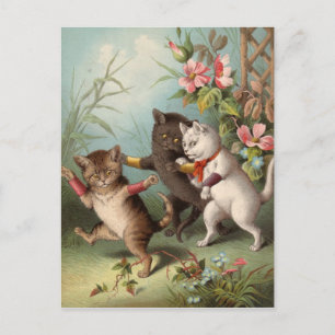 Naghty Cats Postcard Postkarte