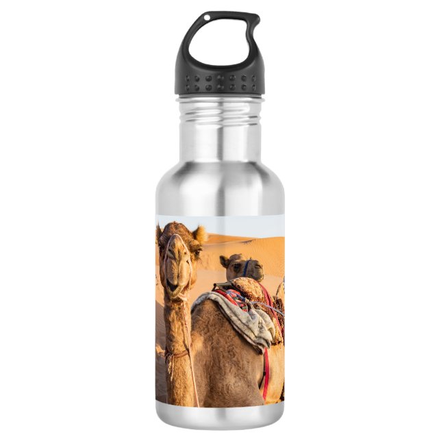 Nah auf lustigem Kamel in der Wüste Oman Wahiba Edelstahlflasche (Vorderseite)