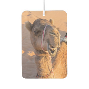 Nah auf lustigem Kamelkopf in der Wüste Oman Wahib Autolufterfrischer