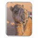 Nah auf lustigem Kamelkopf in der Wüste Oman Wahib Puzzle (Deckel Vertikal)