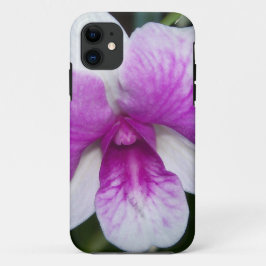 nah aus einer wunderschönen lila-weißen Orchidee title_seo2