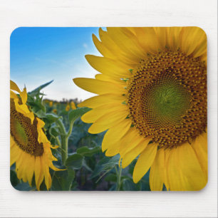 Nah aussehen mousepad