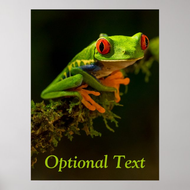 Nah, bestehend aus einem Red Mit Augen Tree Frog # Poster (Vorne)