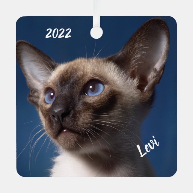 Nah einer Siamkatze mit blauen Augen Ornament Aus Metall (Vorderseite)