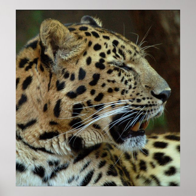 Nah mir nicht die Augen. Poster (Vorne)