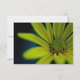 Nah-oben-Gelbe Wildblume Mitteilungskarte