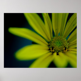 Nah-oben-Gelbe Wildblume Poster