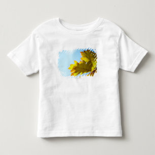 Nah oben vom gelben Herbstlaub Kleinkind T-shirt