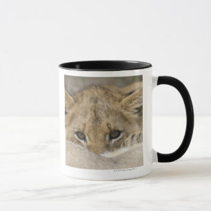 Nah oben vom Gesicht des Löwejungen Tasse