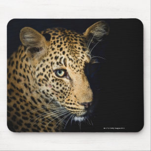 Nah oben vom Leoparden, größerer Kruger Mousepad
