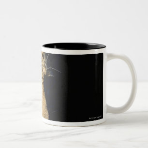Nah oben vom Leoparden, größerer Kruger Zweifarbige Tasse