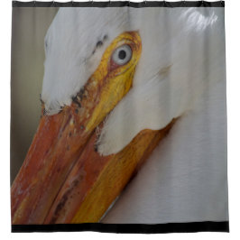 Nah oben vom weißen Pelikan mit blauem Auge Duschvorhang