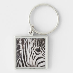 Nah oben vom Zebra Schlüsselanhänger