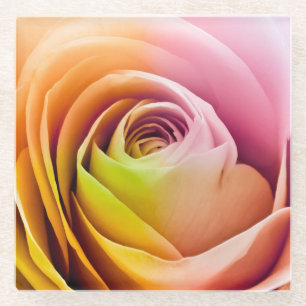 Nah oben von den bunten Rosen-Blumenblättern Glasuntersetzer