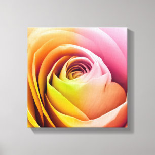 Nah oben von den bunten Rosen-Blumenblättern Leinwanddruck