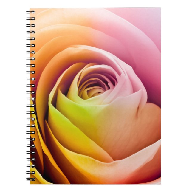 Nah oben von den bunten Rosen-Blumenblättern Notizblock (Vorderseite)