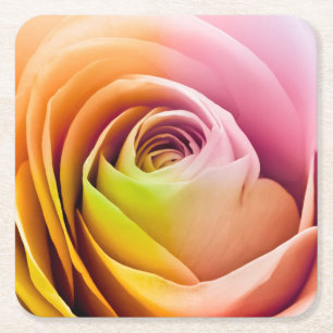 Nah oben von den bunten Rosen-Blumenblättern Rechteckiger Pappuntersetzer