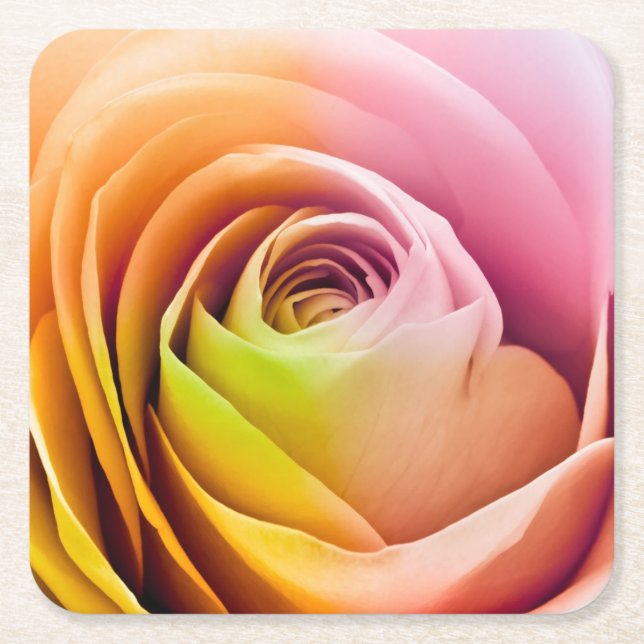 Nah oben von den bunten Rosen-Blumenblättern Rechteckiger Pappuntersetzer (Vorderseite)