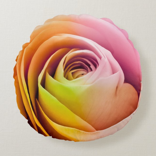 Nah oben von den bunten Rosen-Blumenblättern Rundes Kissen (Vorderseite)