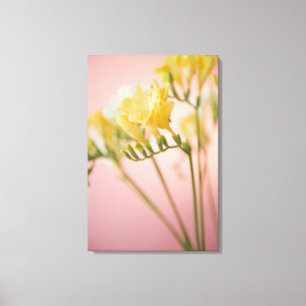 Nah oben von den Freesia-Blumen Leinwanddruck