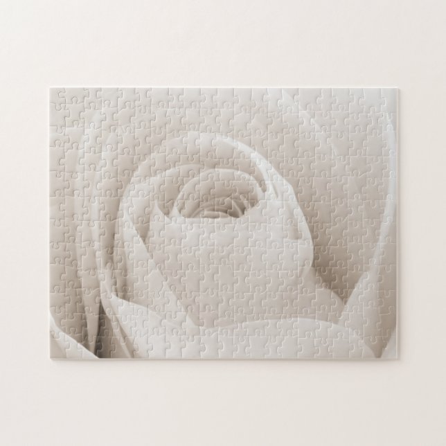 Nah oben von den weißen Rosen-Blumenblättern (Horizontal)