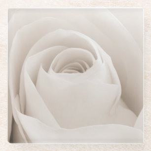 Nah oben von den weißen Rosen-Blumenblättern Glasuntersetzer