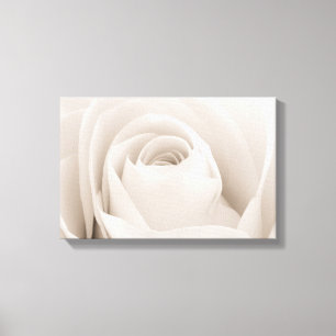 Nah oben von den weißen Rosen-Blumenblättern Leinwanddruck
