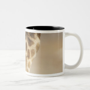 Nah oben von der Giraffe (Giraffa camelopardalis) Zweifarbige Tasse