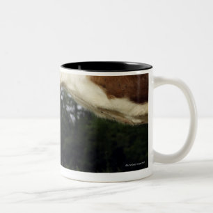 Nah oben von der Kuh in der ländlichen Landschaft Zweifarbige Tasse