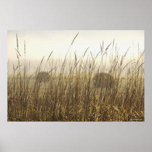 Nah oben von der Weizen-Fotografie Poster