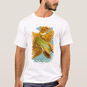 Nah oben von einer gelben Lilie T-Shirt