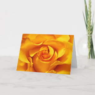 Nah oben von einer gelben Rose Karte