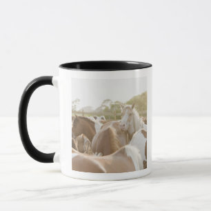 Nah oben von einer Herde der Pferde Tasse