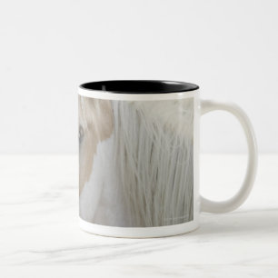 Nah oben von einer Herde von Pferden 2 Zweifarbige Tasse