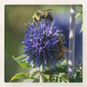 Nah Up a Bee on a Lila/Blue Blume Glasuntersetzer
