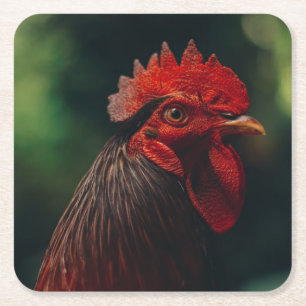 Nah-Up-Ansicht eines Roosters Rechteckiger Pappuntersetzer