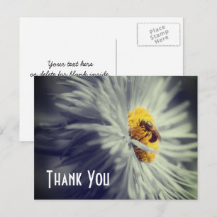 Nah Up Bee On Blume Danke Postcard Postkarte