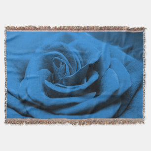 Nah-up blaue rote Rose, Makro-Schönheit. Decke