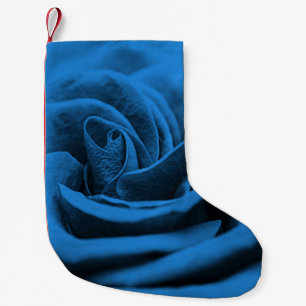 Nah-up blaue rote Rose, Makro-Schönheit. Kleiner Weihnachtsstrumpf