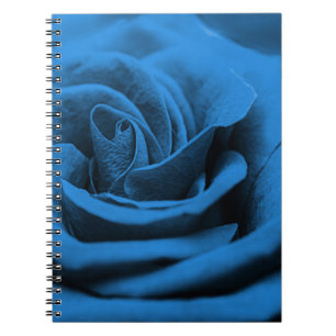 Nah-up blaue rote Rose, Makro-Schönheit. Notizblock