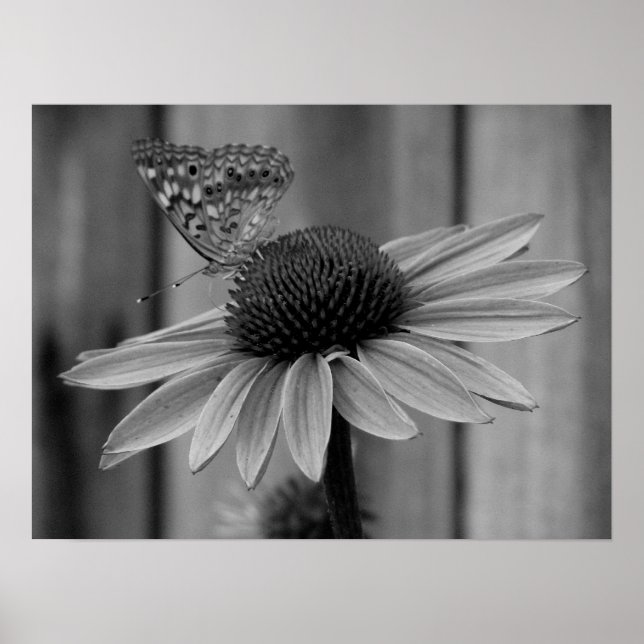 Nah Up Butterfly Poster (Vorne)