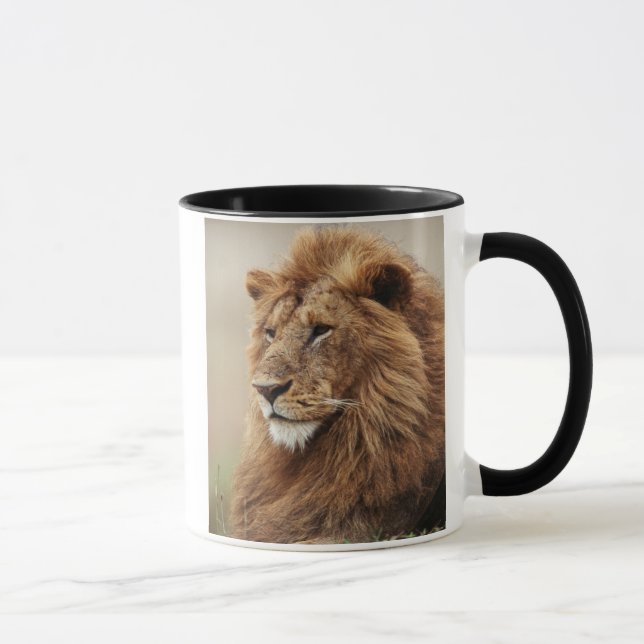 Nah-up der männlichen Löwe Tasse (Rechts)