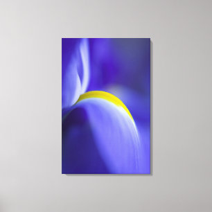 Nah-up-Detail einer Blauen Flagge Iris. Leinwanddruck